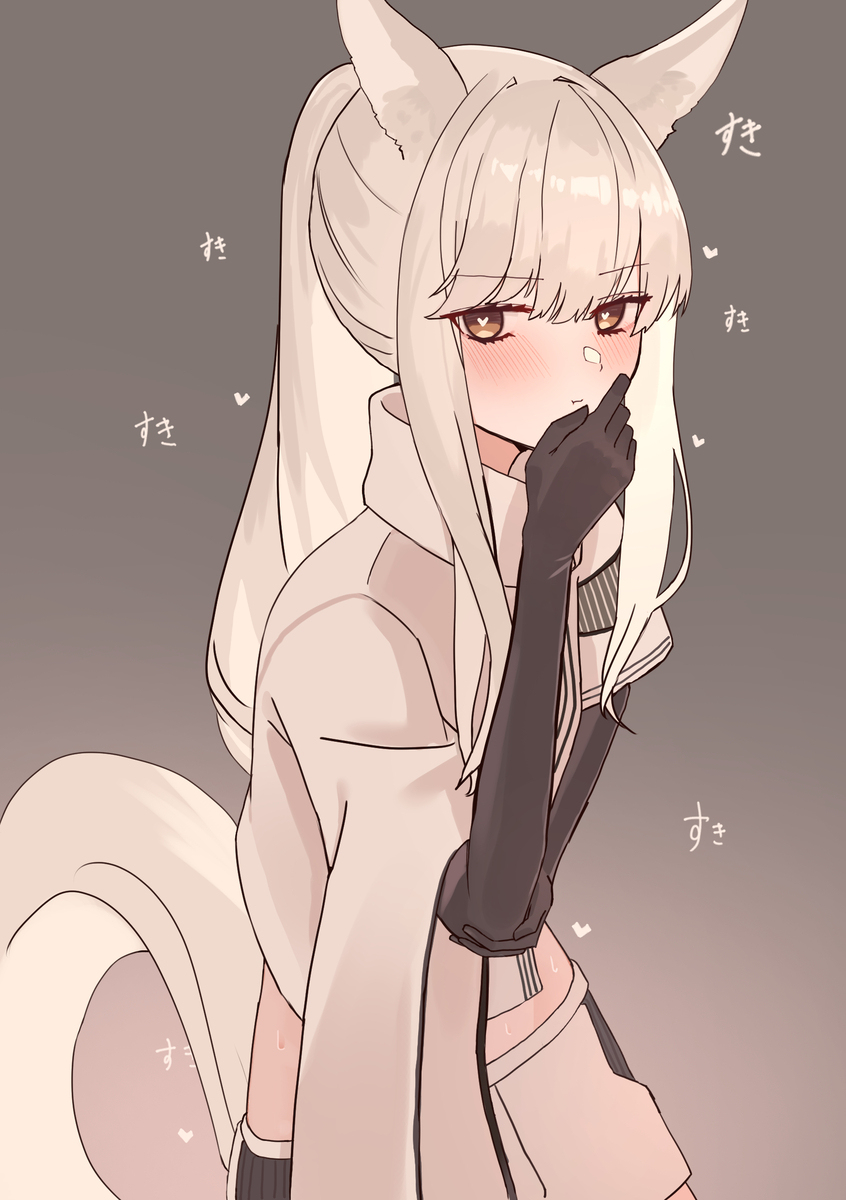 斯基奇纳
