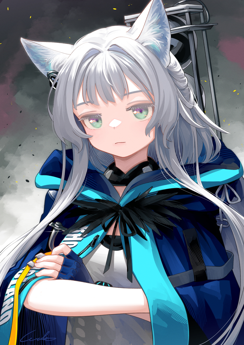 洛斯蒙蒂斯