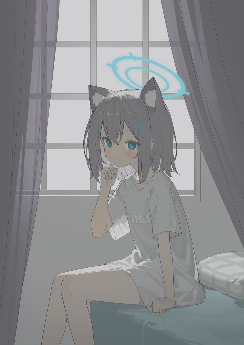 沙狼白鲸