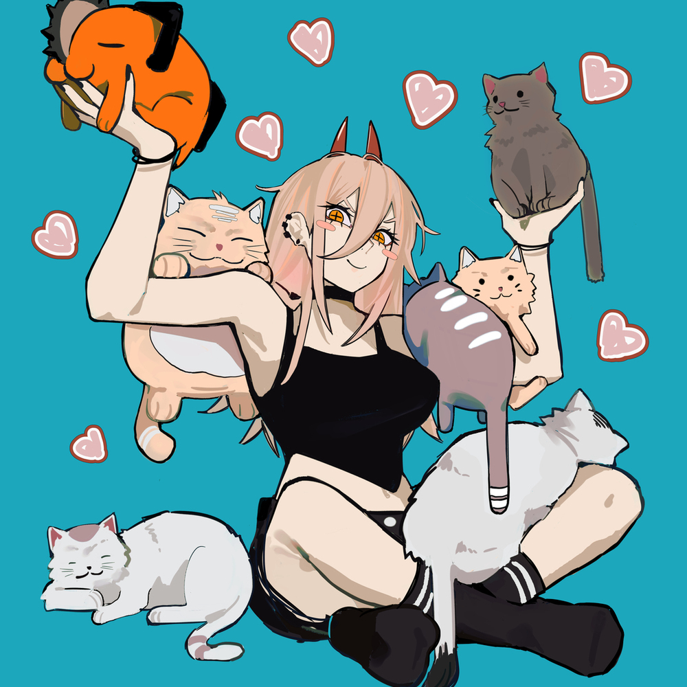 Cat mecca