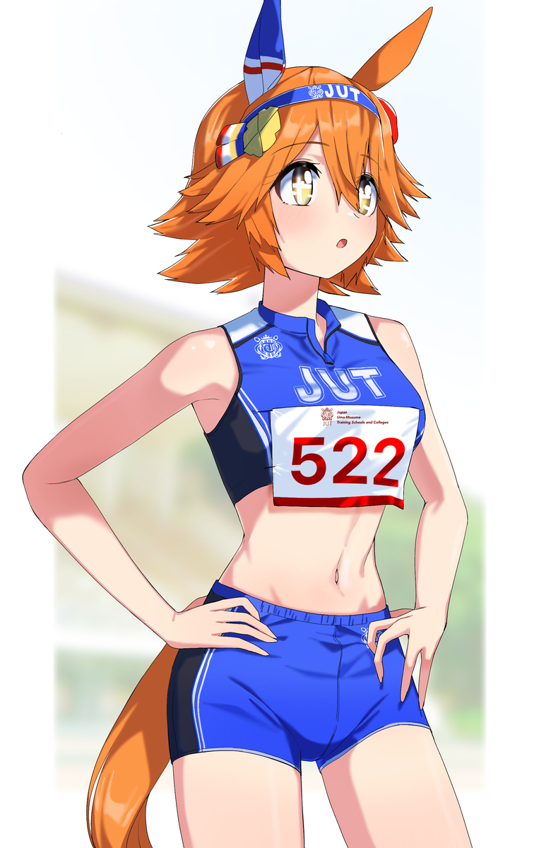 带领子的隔板