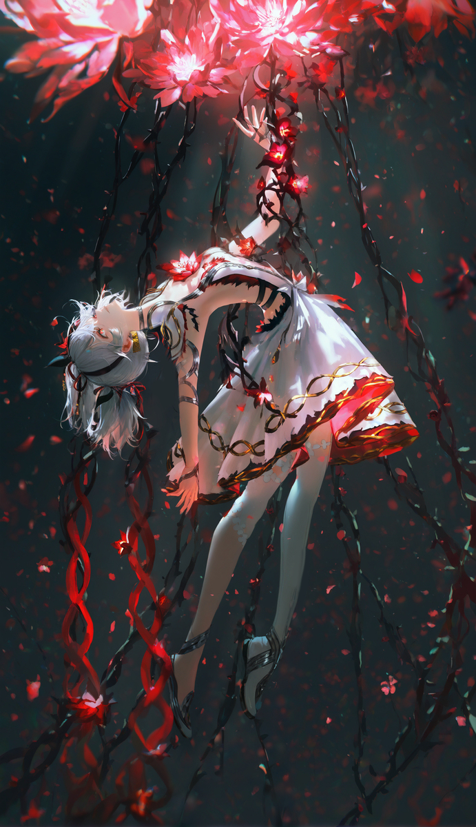 山茶花2