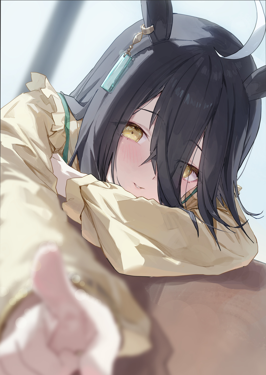 皮和