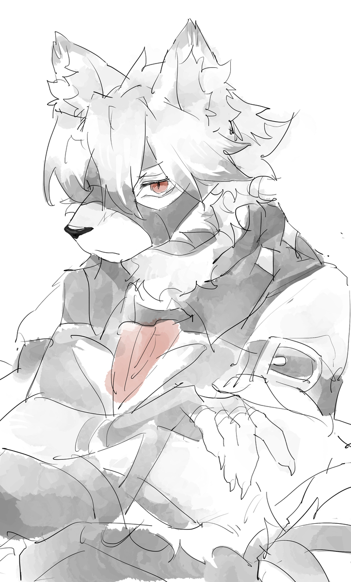 莱康