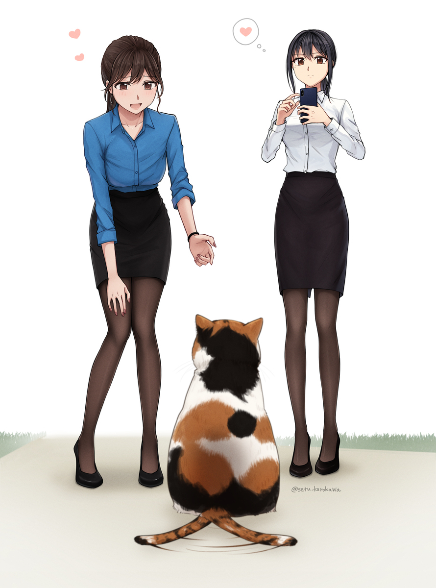 三毛猫和OL