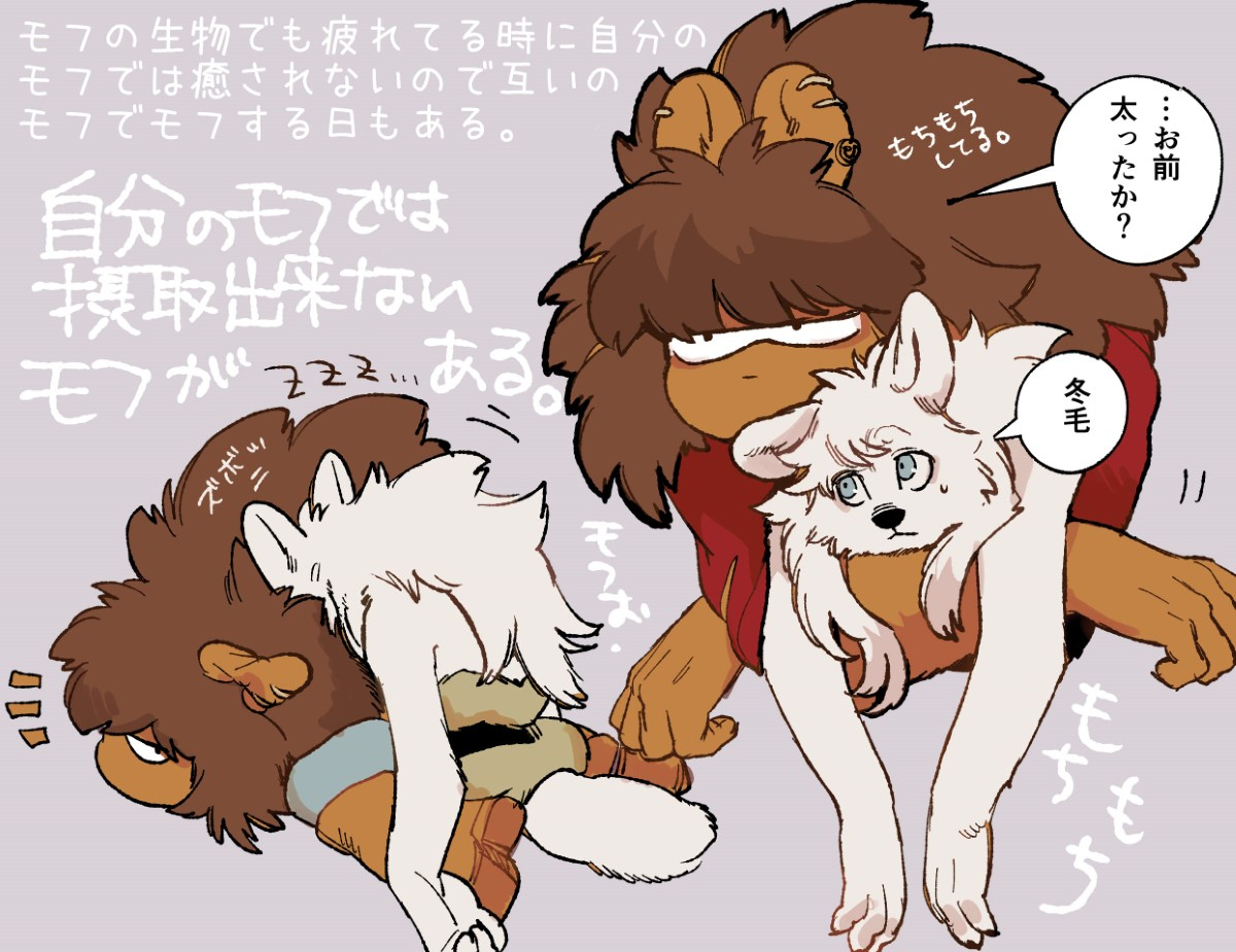 猫和狗和笔测试