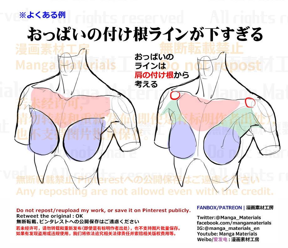 個人メモ：*の付け根の流れ・小*筋