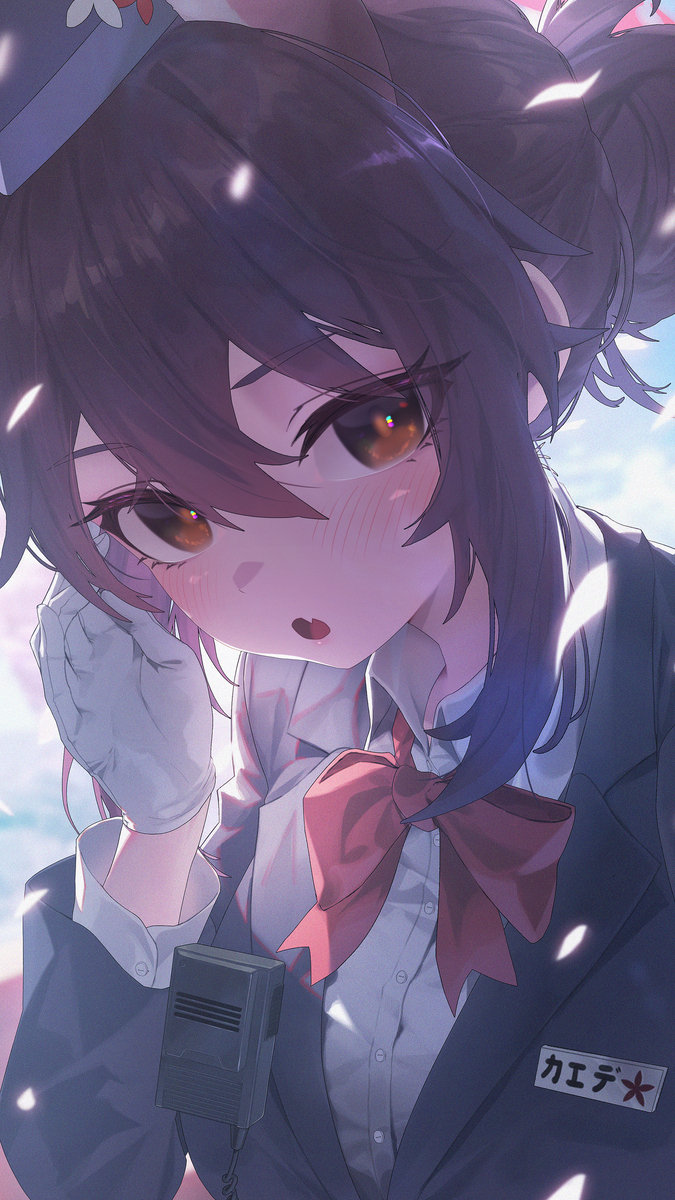 枫树
