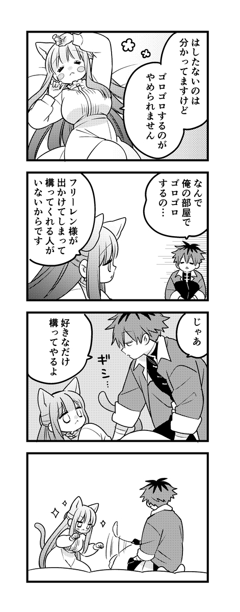 斯塔菲尔装14。