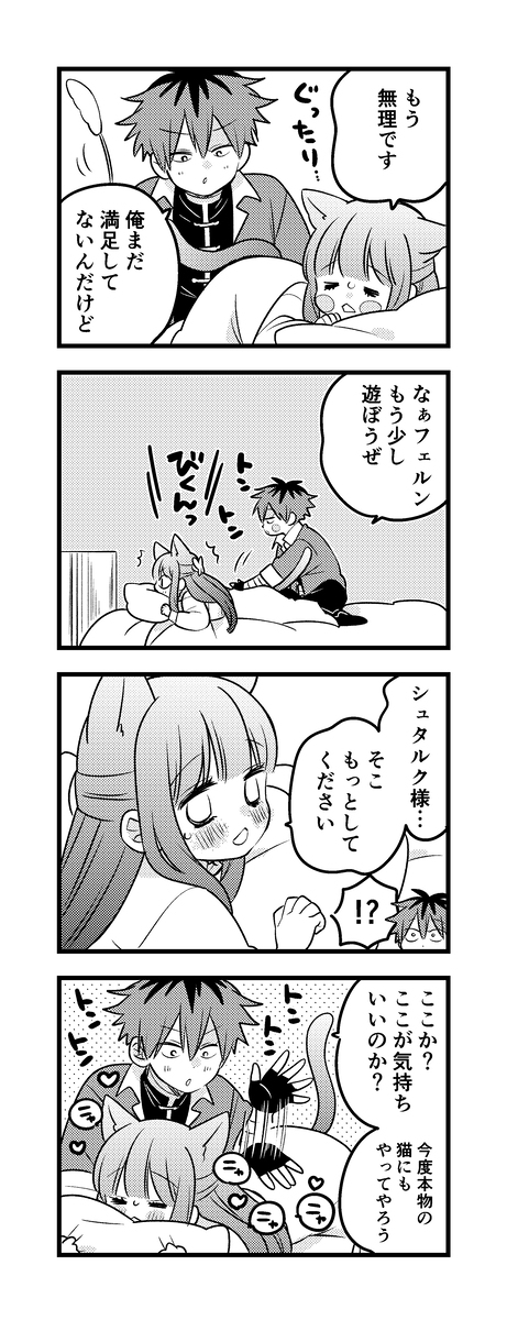 斯塔菲尔装14。