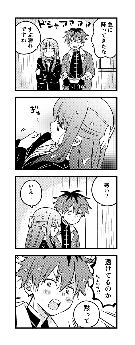 斯塔菲尔装14。