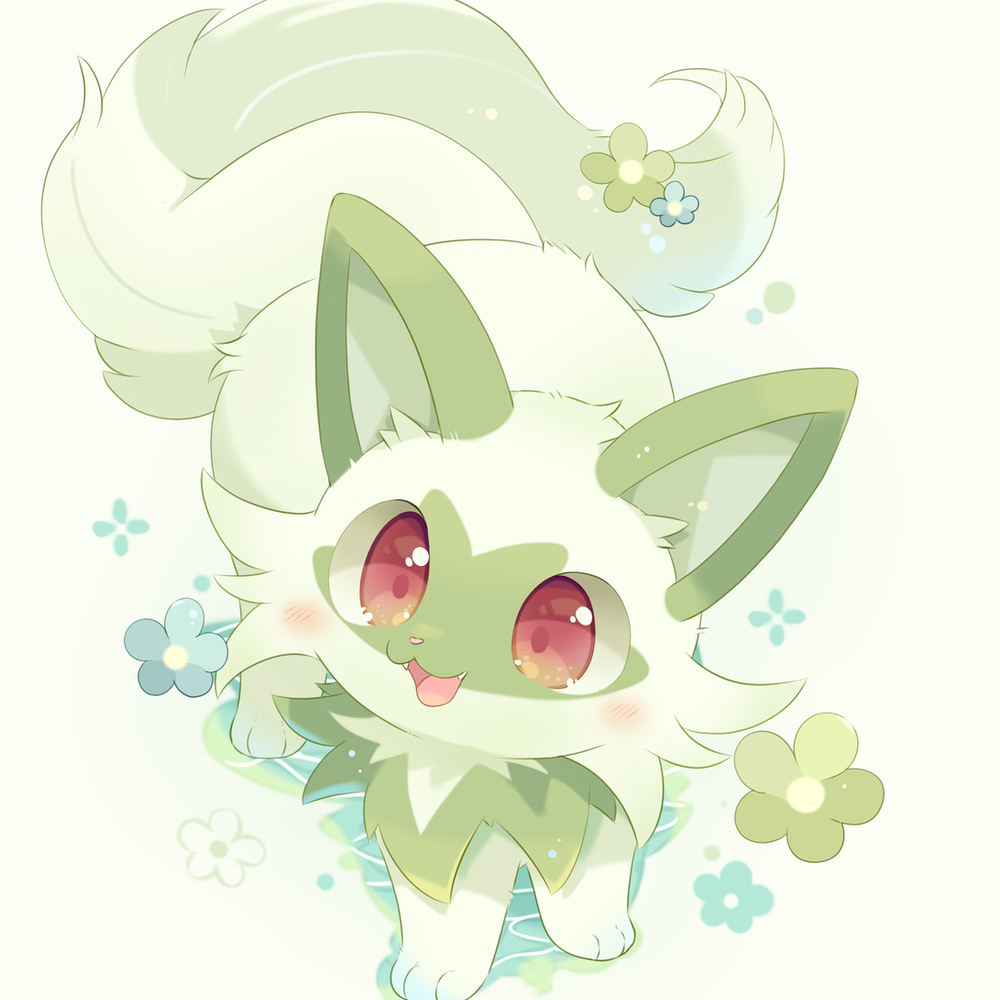 喵🐾✨