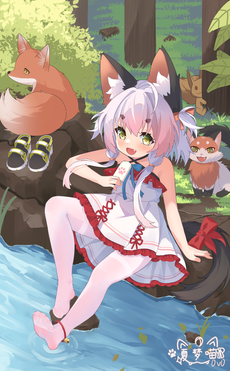 吃冰淇淋的小猫