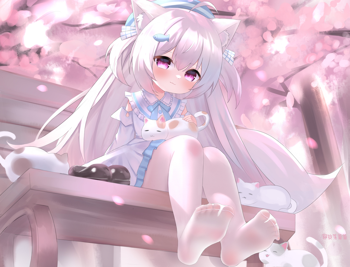 稿稿