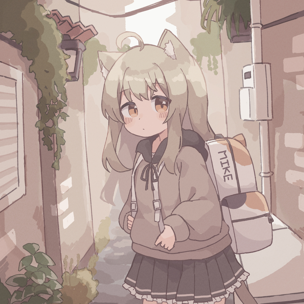 小巷里探索猫