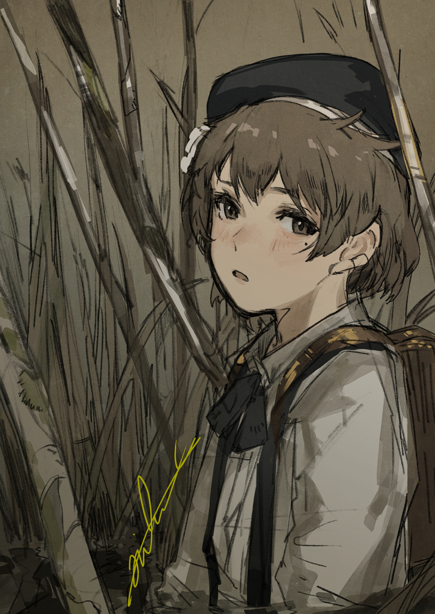 鸽羽