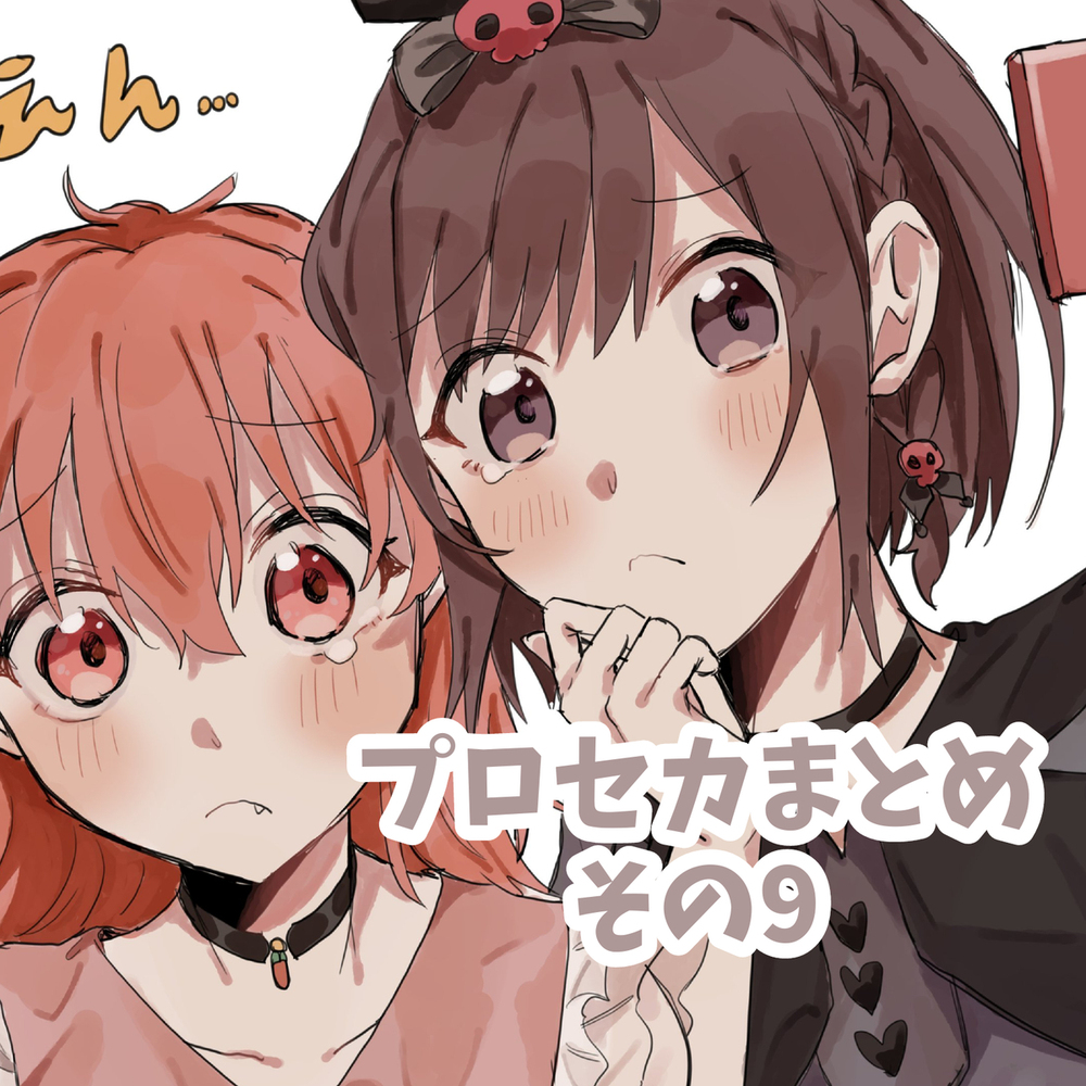 普罗塞卡Twitter总结之九