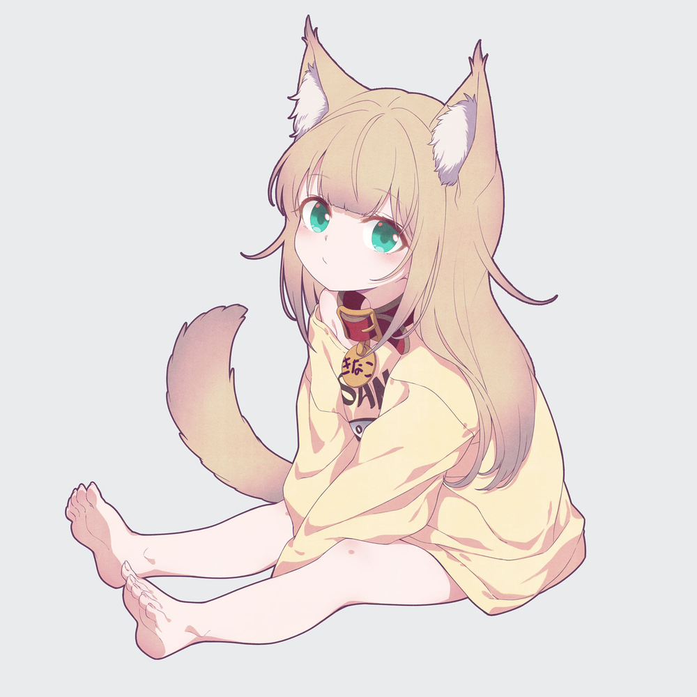小丸子🐈