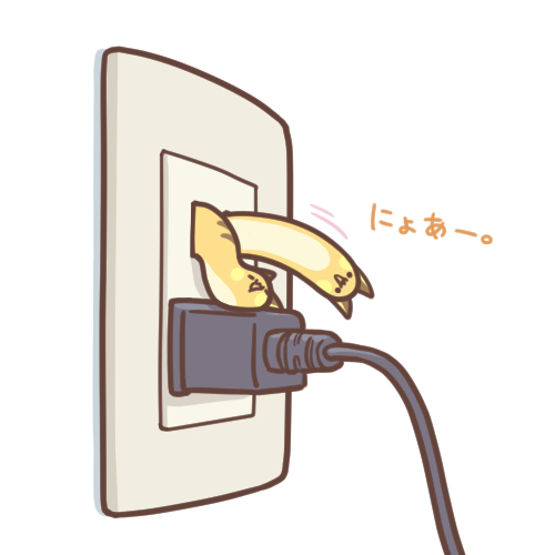 二分之一