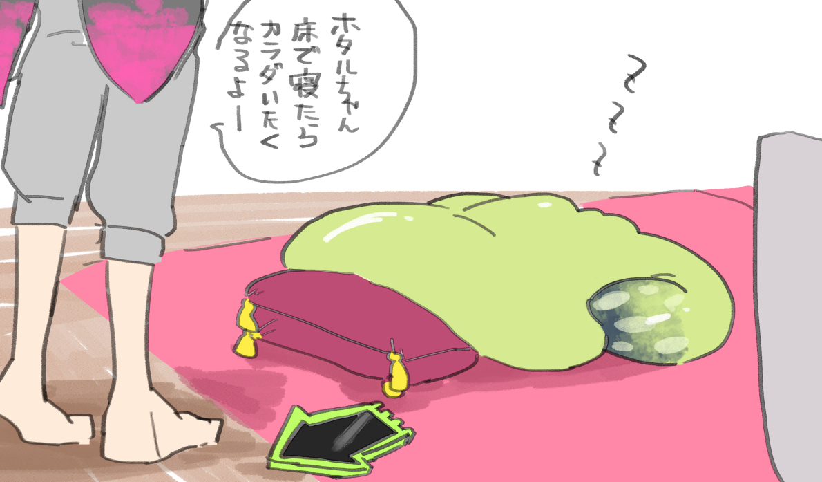 乌贼