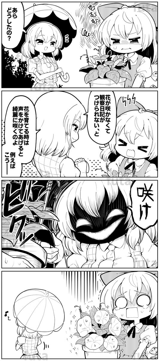 在Twitter上投稿的4帧其48