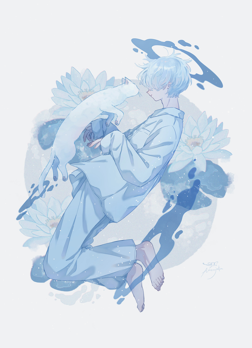 睡莲