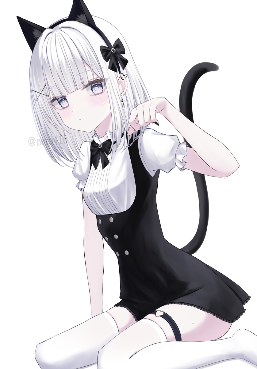 喵🤍