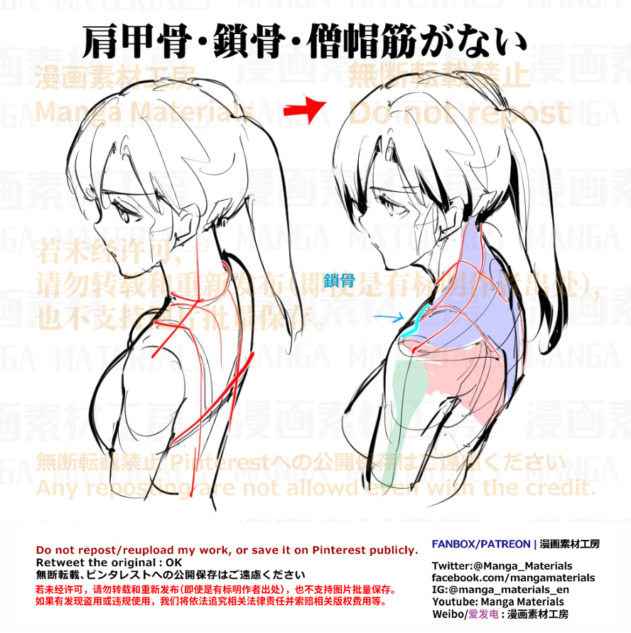 個人メモ：背中のよくある違和感