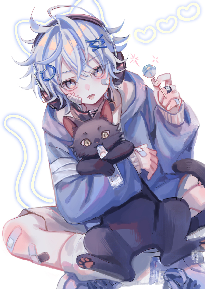 网络猫