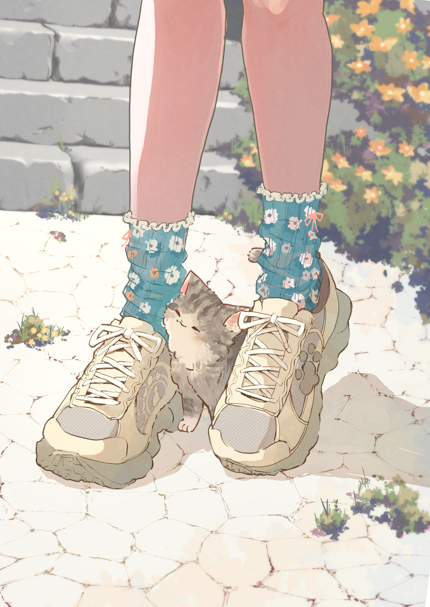 幸せな足元🐈👟