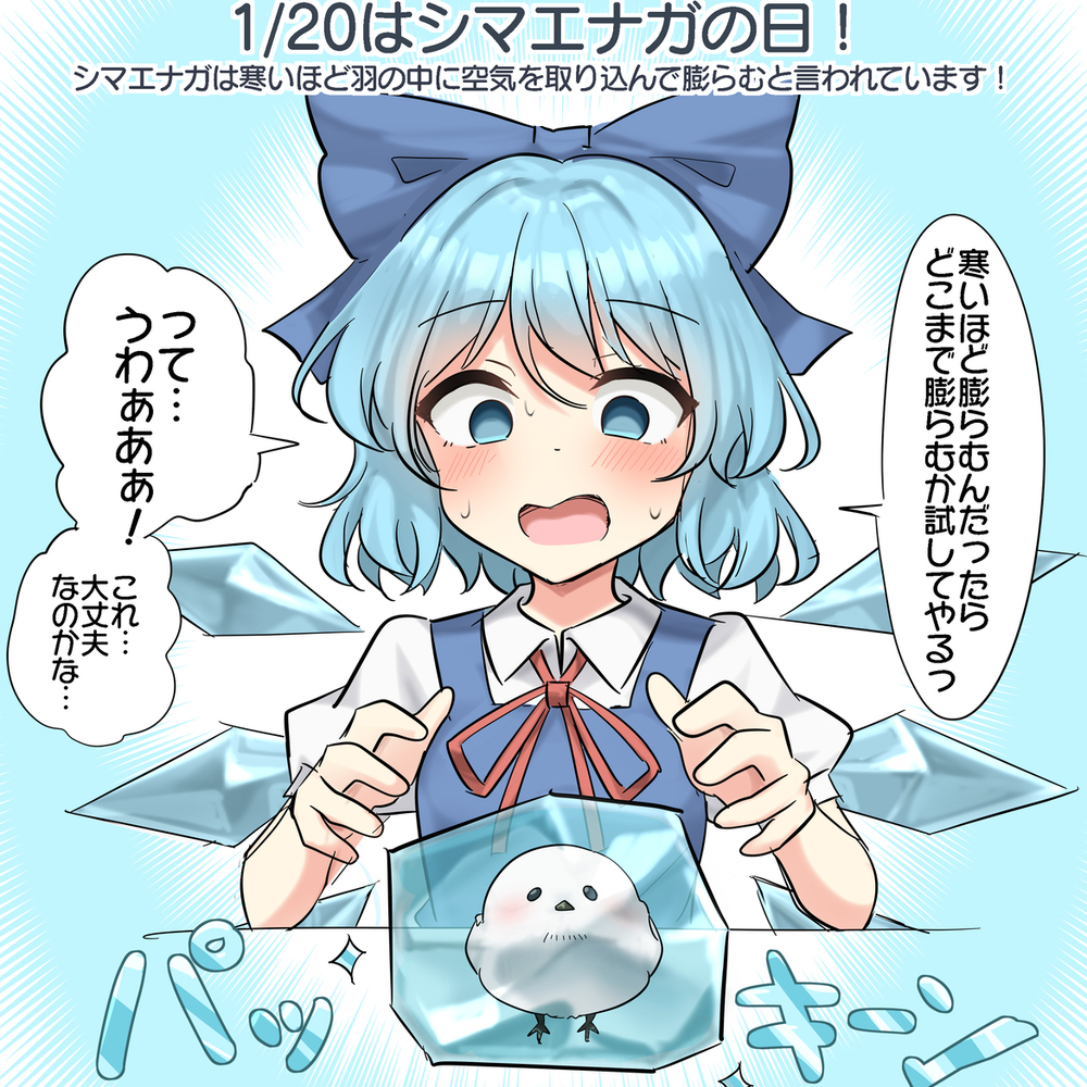 1/20はシマエナガの日！