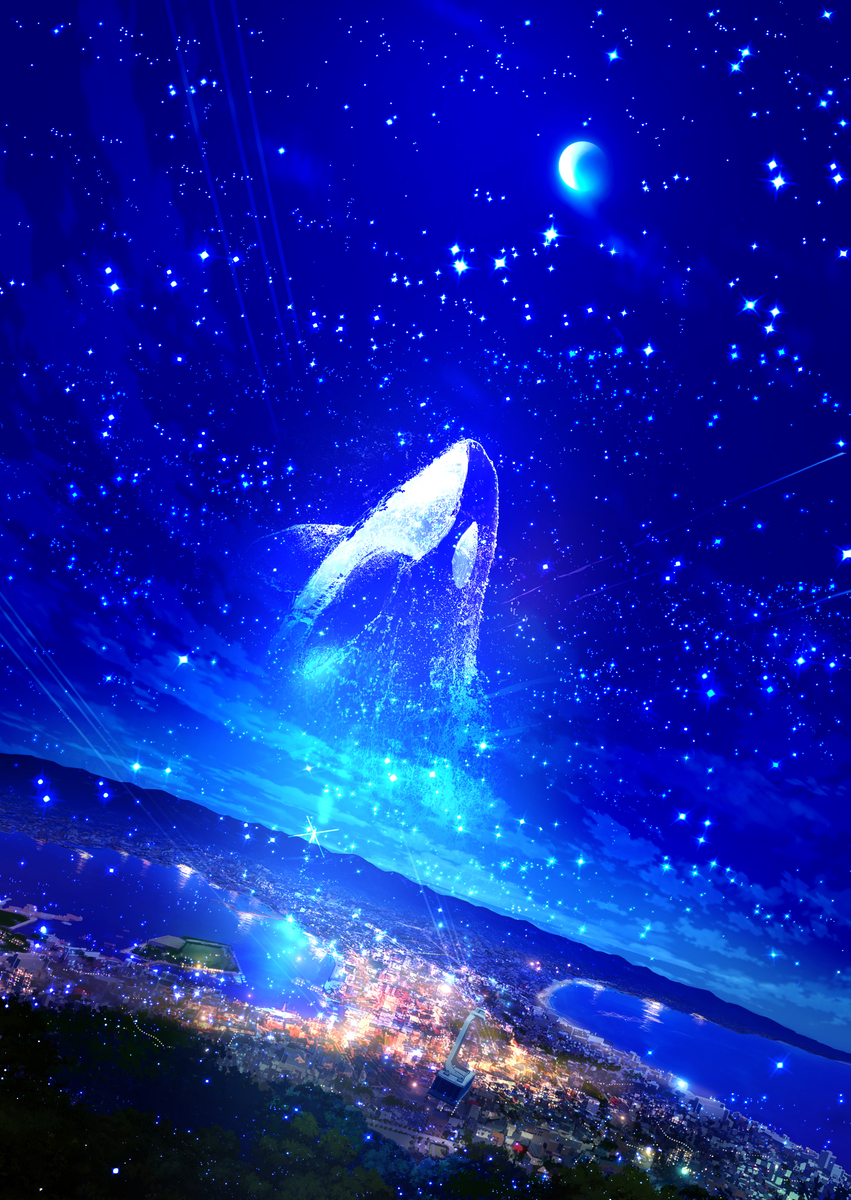 星が輝く-函館山-