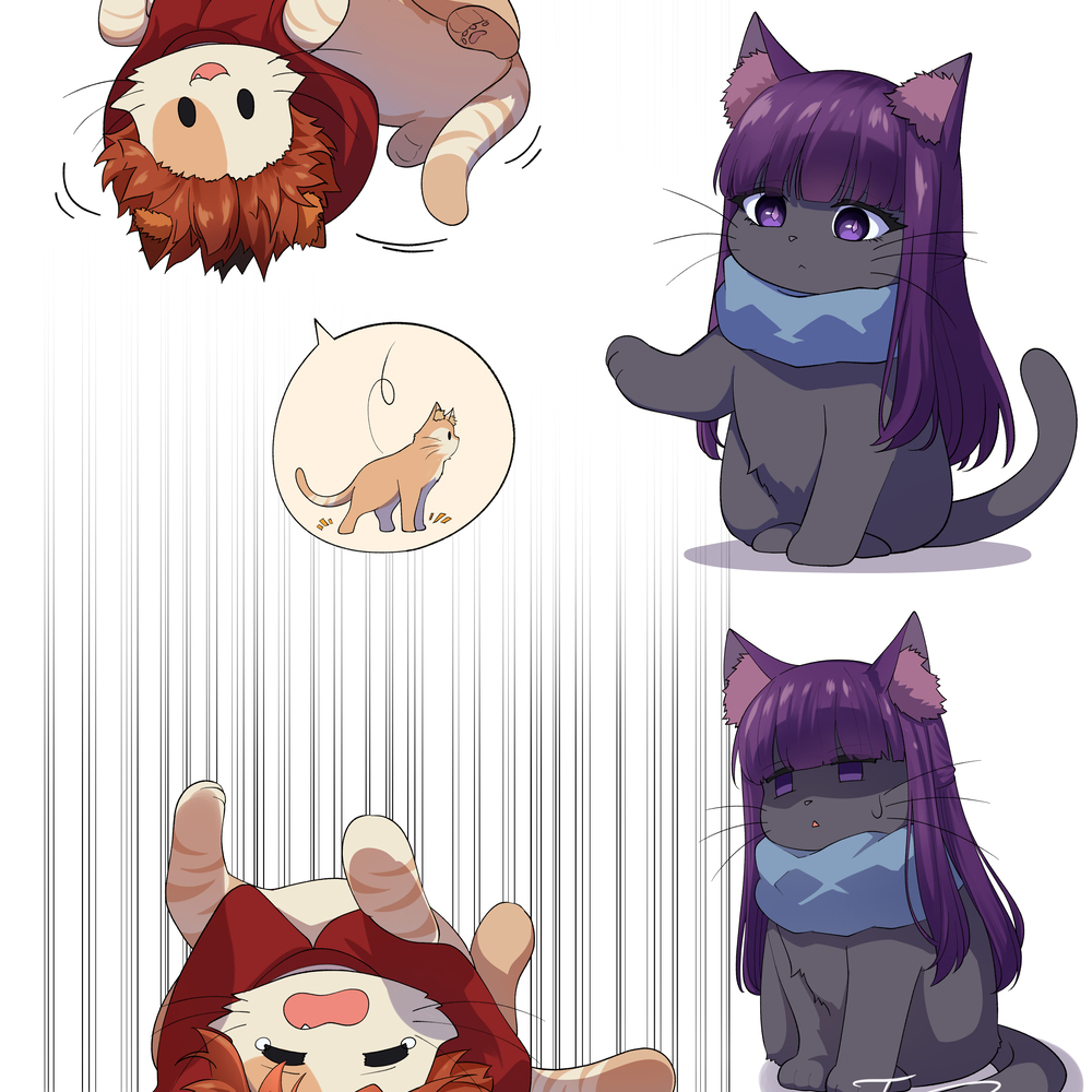 🐱🐱  💫