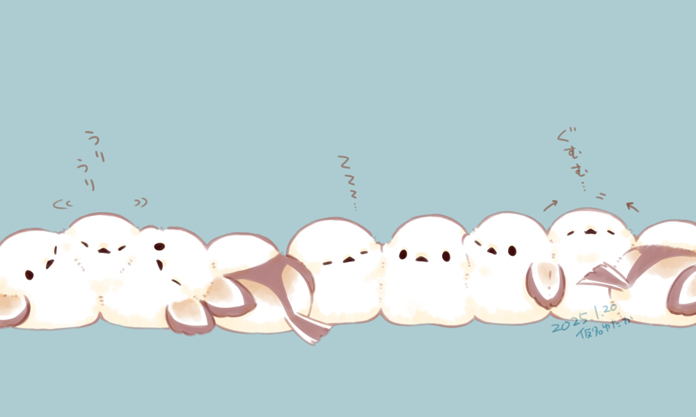 今年のシマエナガ