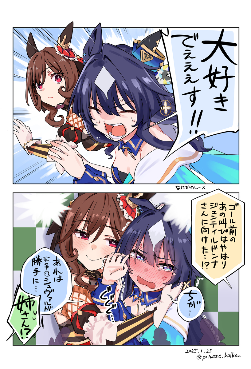 アニメシュヴァル因子継承シーナ