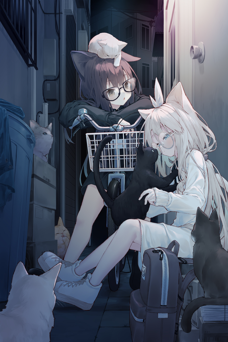 集会