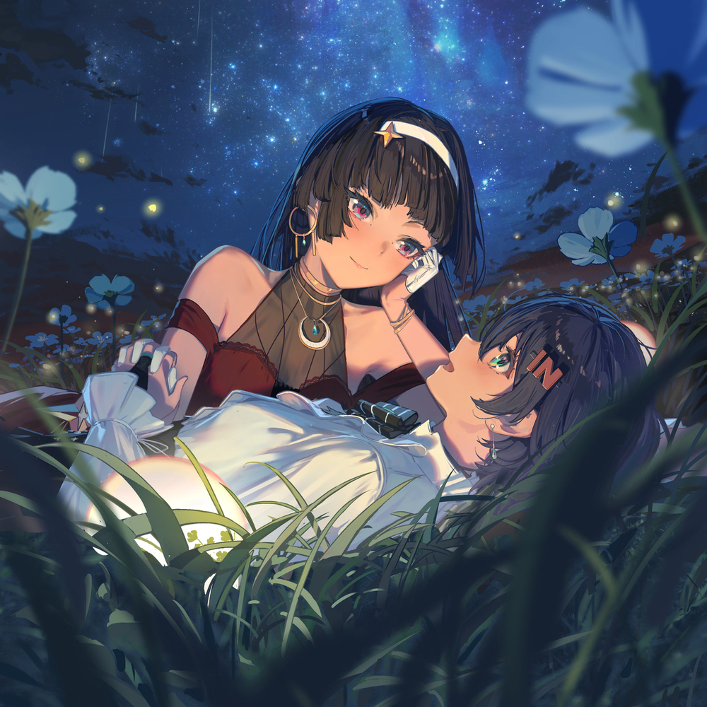 美しい流星群