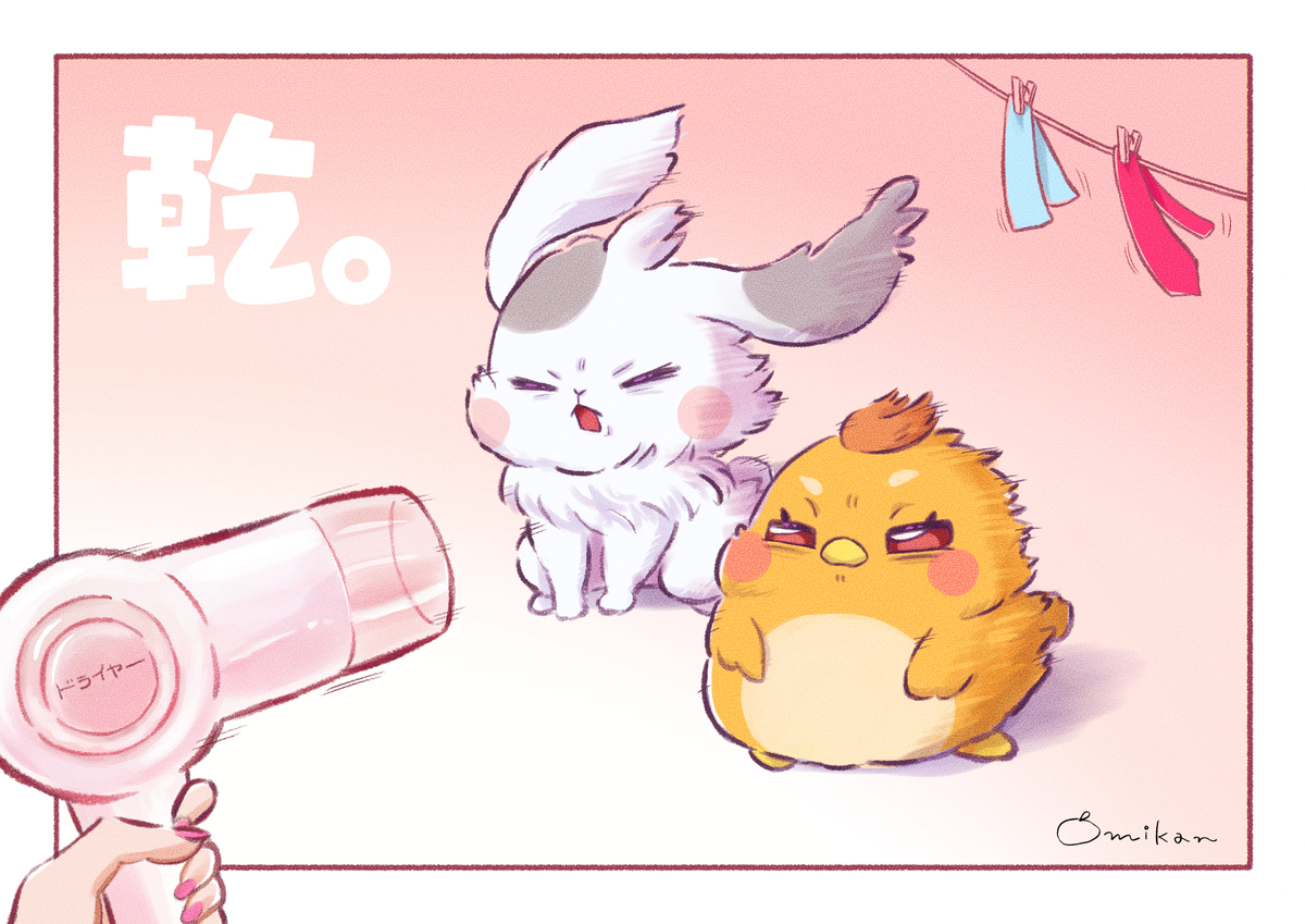 乾燥🐰🐥