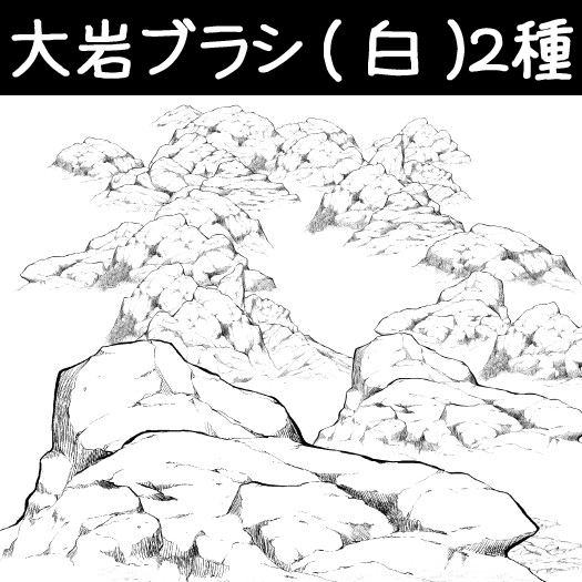 大岩ブラシ(白)２種