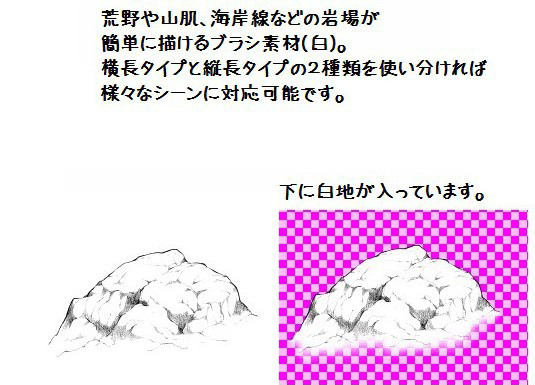 大岩ブラシ(白)２種