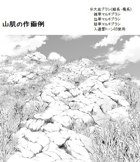 大岩ブラシ(白)２種