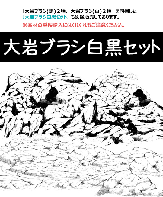 大岩ブラシ(白)２種