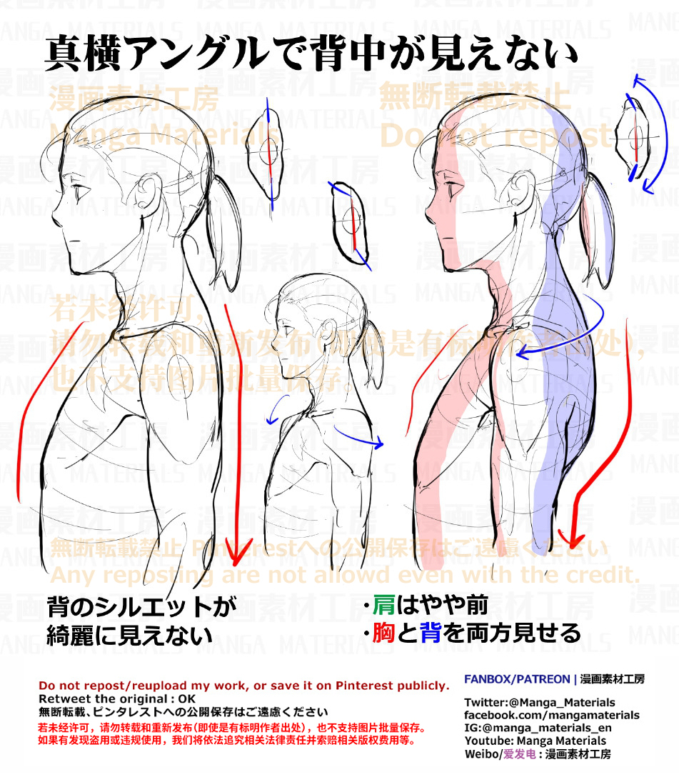 個人メモ：真横アングルの肩周り