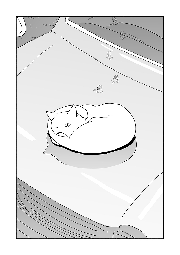 ねこですの日