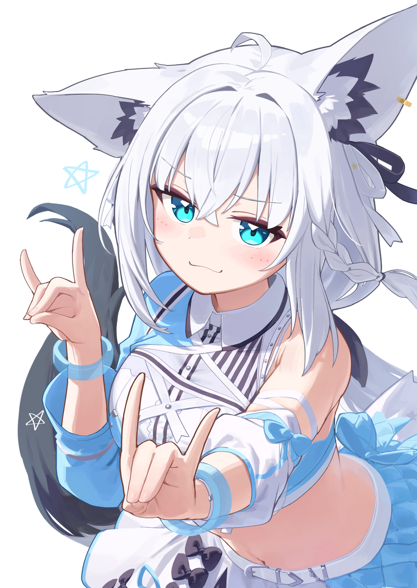 Fesフブちゃん