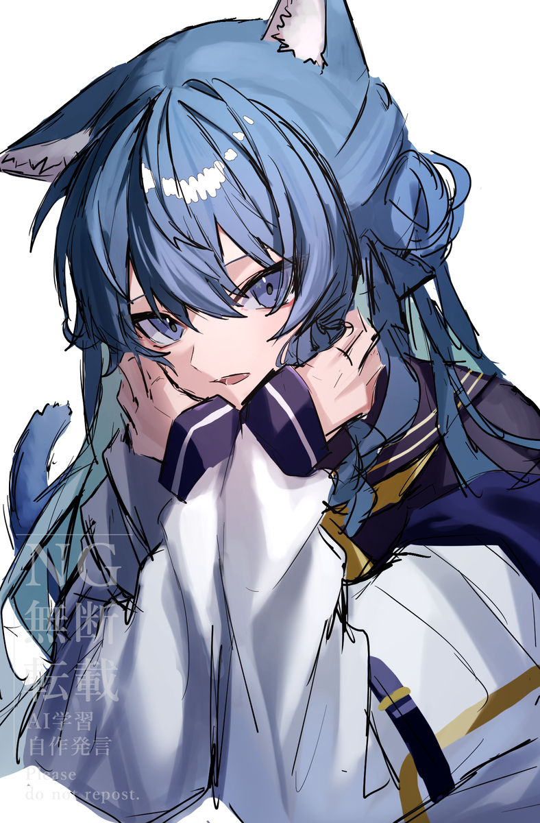 🐱☄