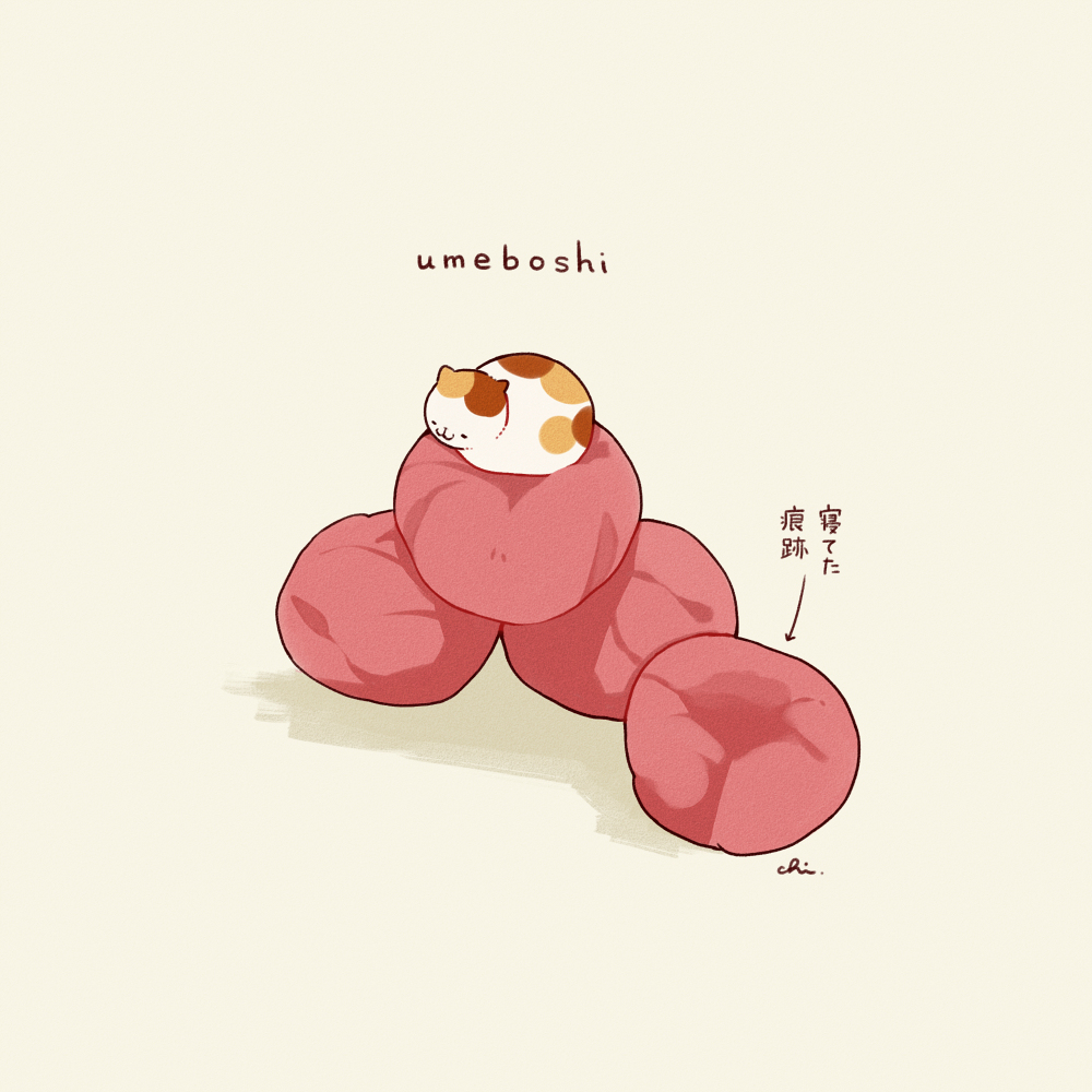 梅干し