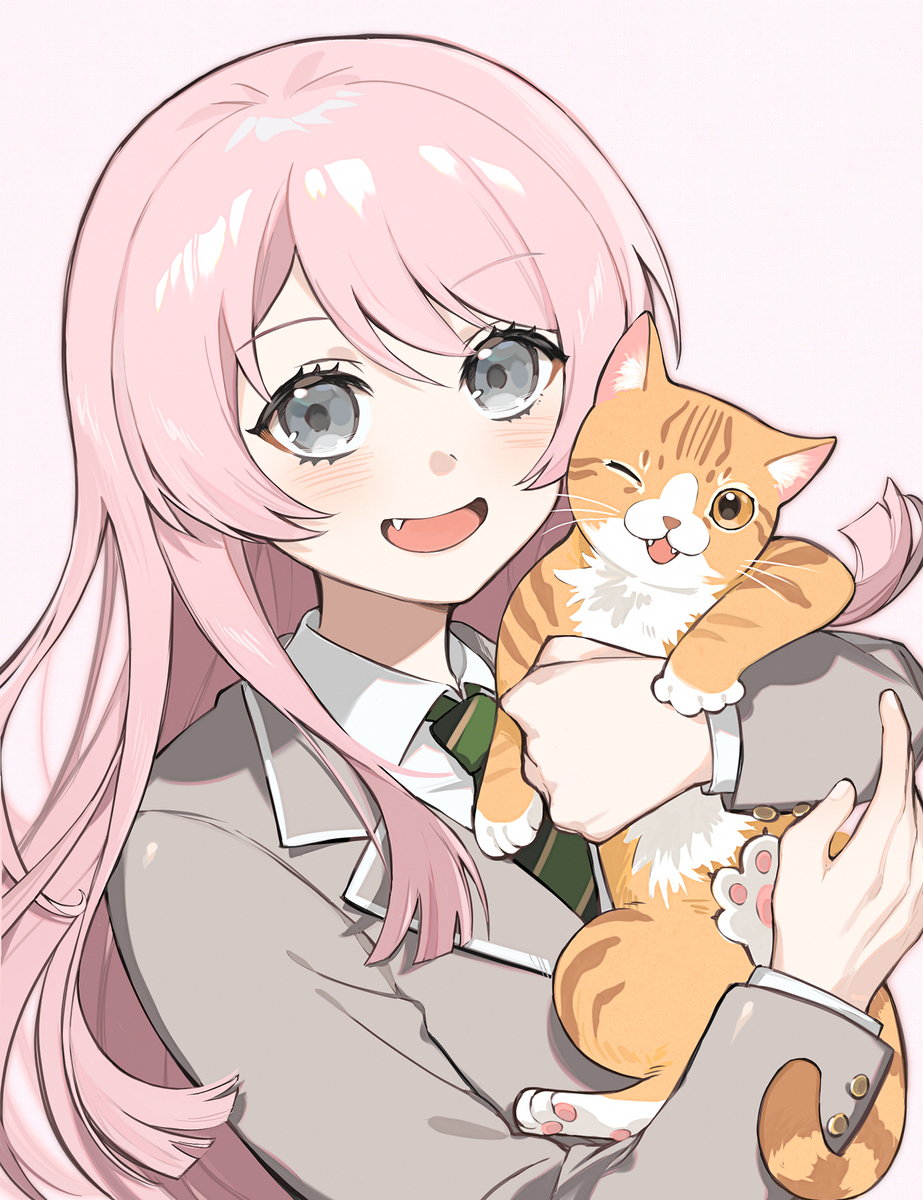 猫猫天国