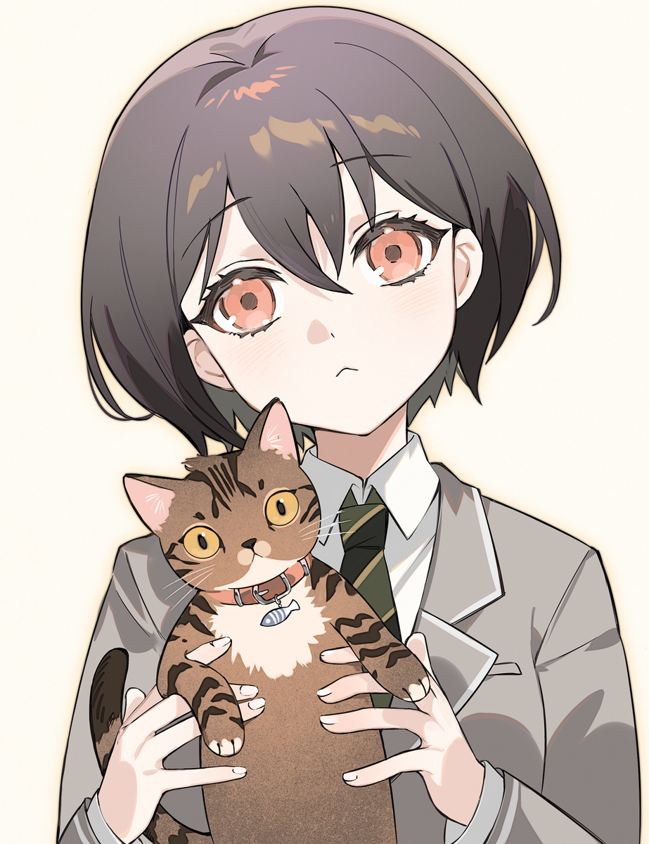 猫猫天国