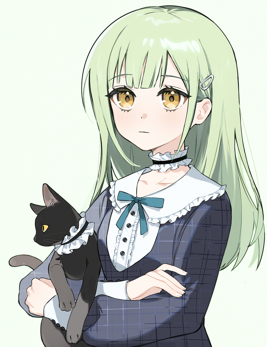 猫猫天国